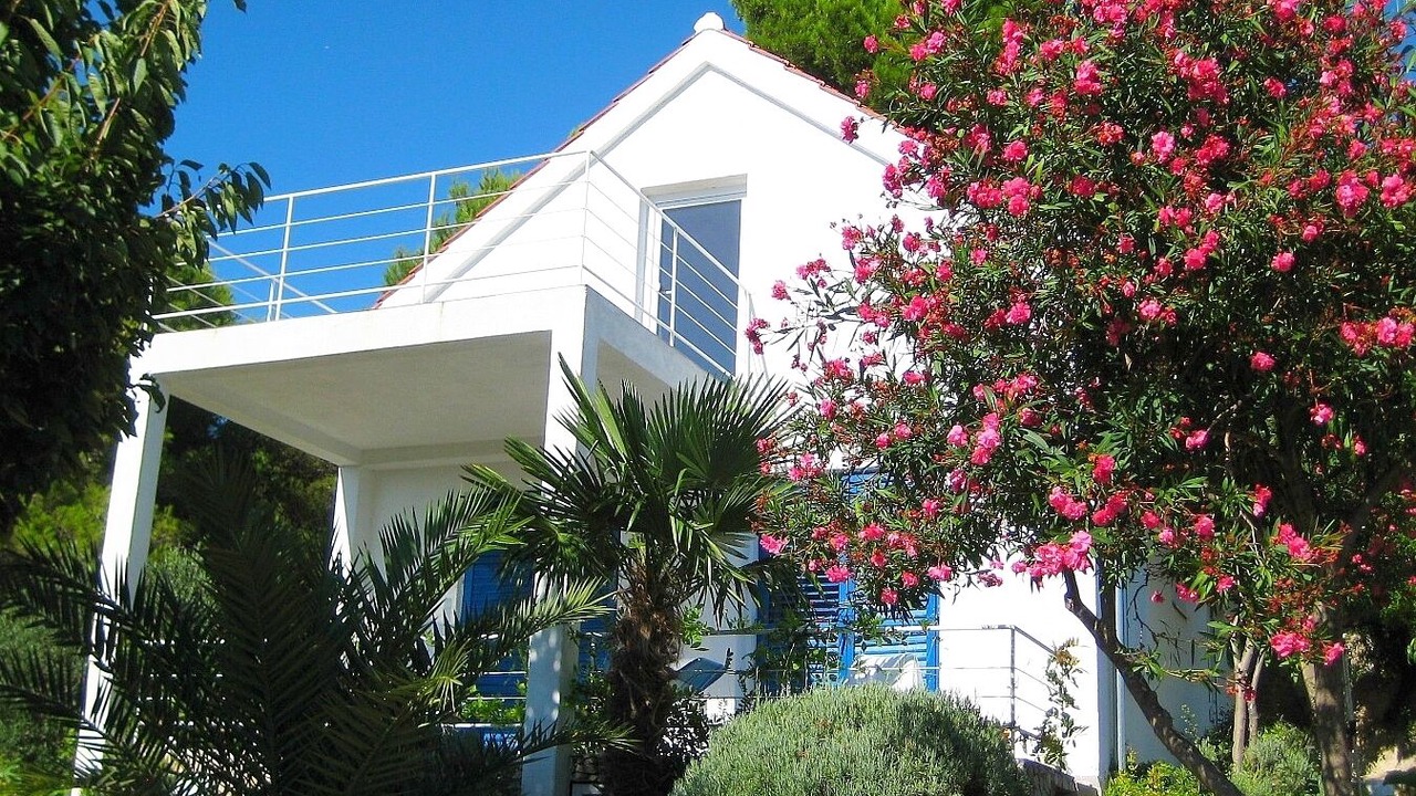 Photo of Outdoor in Prvic Luka