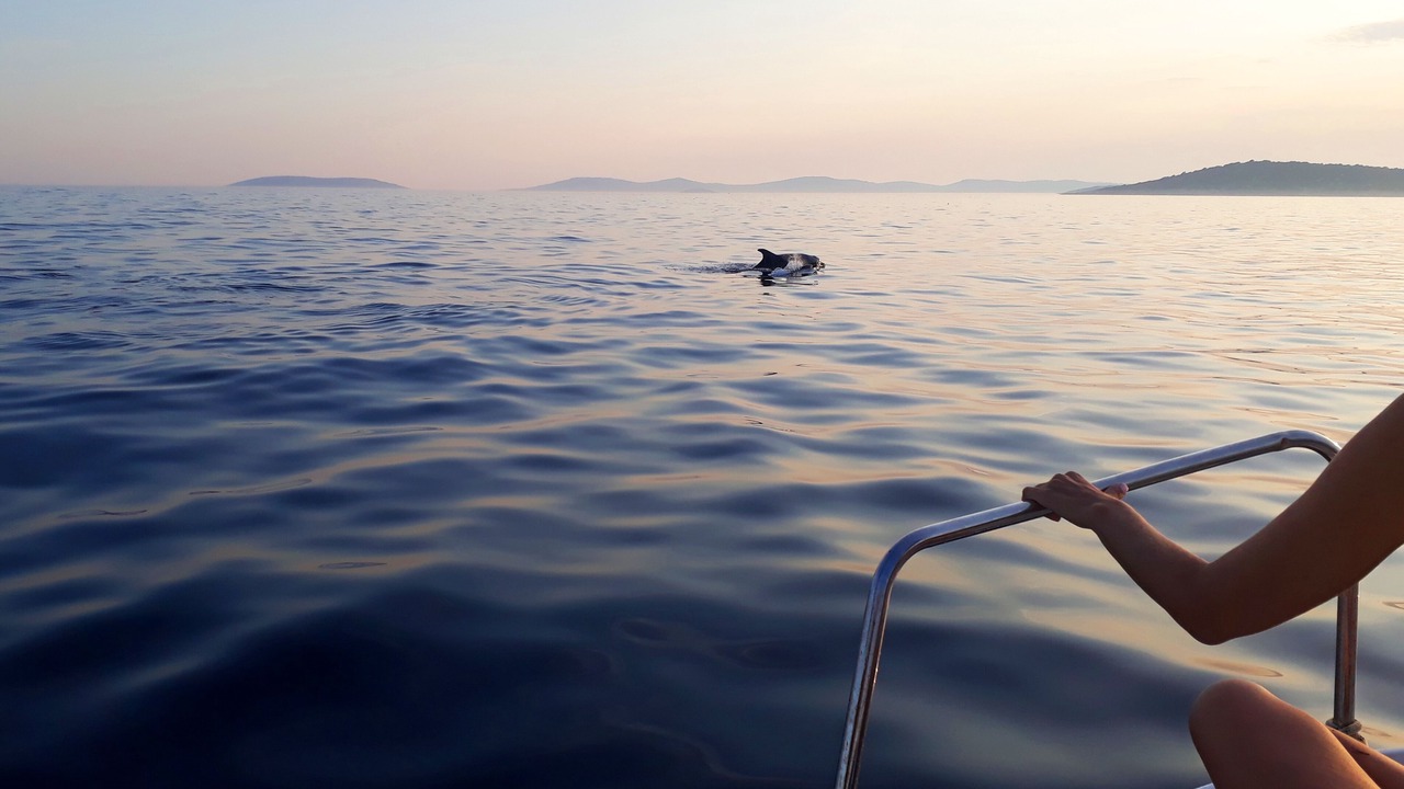 Photo of Others in Prvic Luka