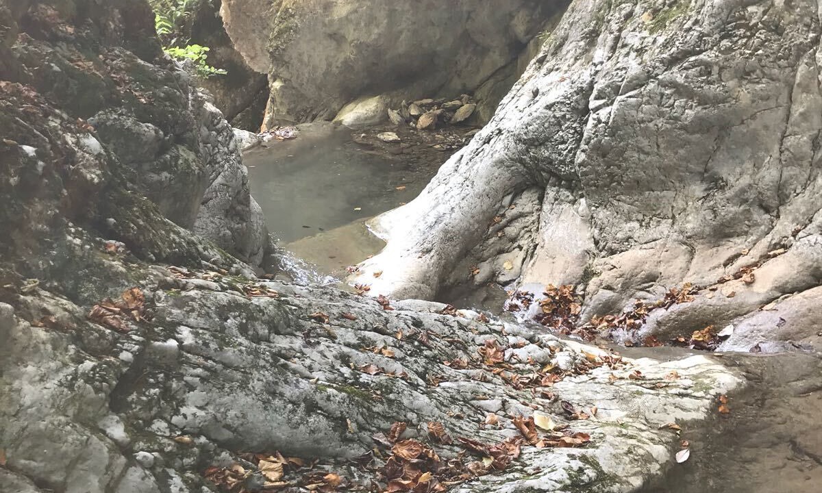 Photo of Outdoor in Vidrga