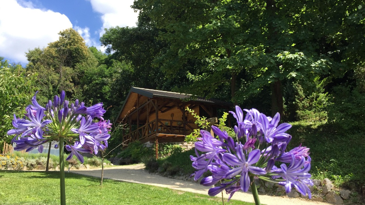 Photo of Outdoor in Zagreb