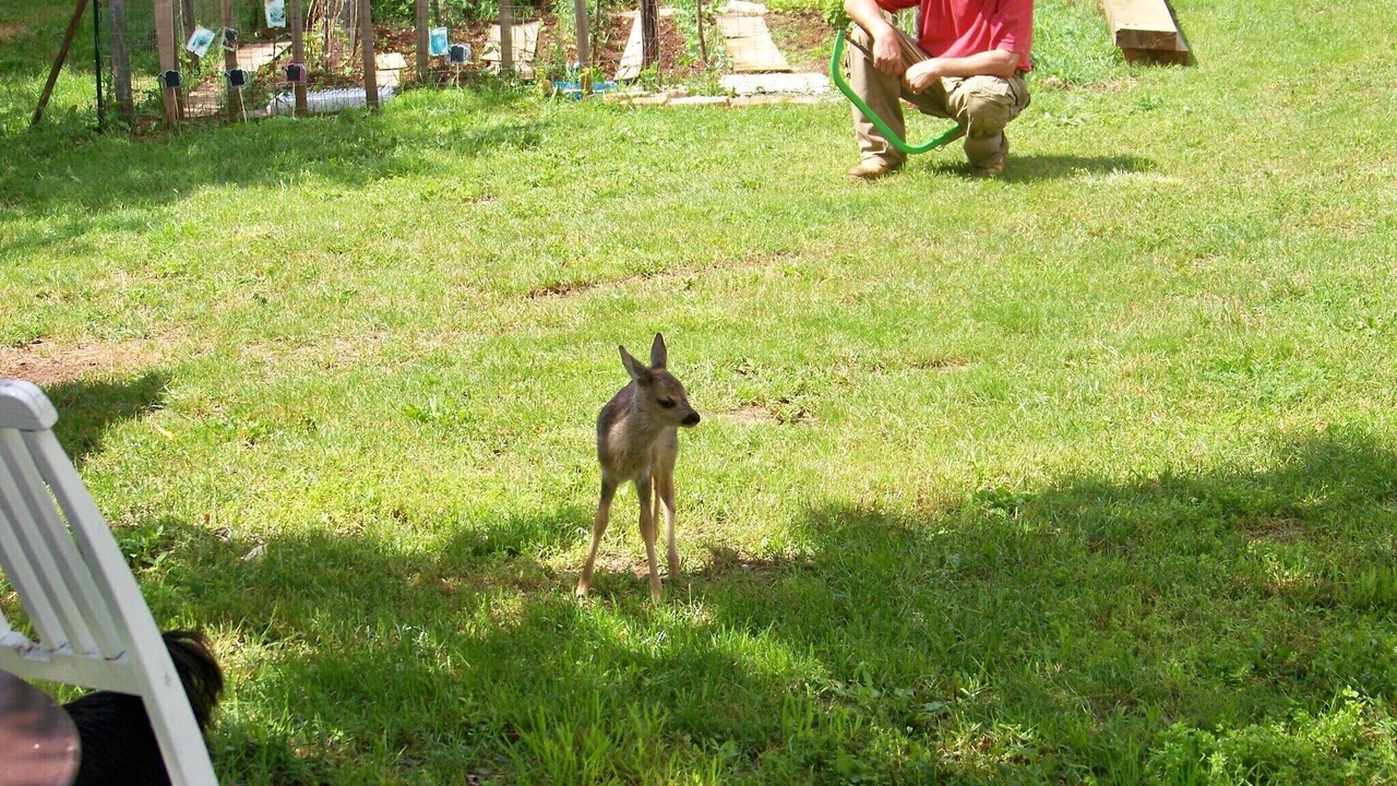 Photo of Others in Moscenicka Draga