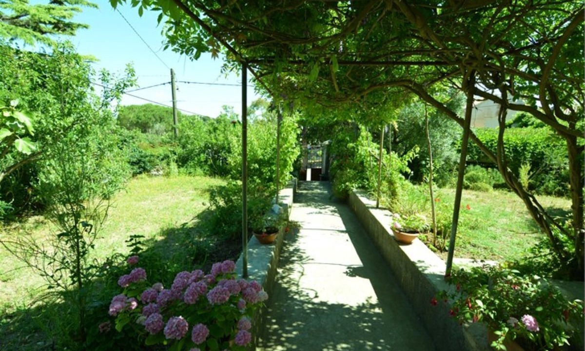 Photo of Outdoor in Veli Losinj