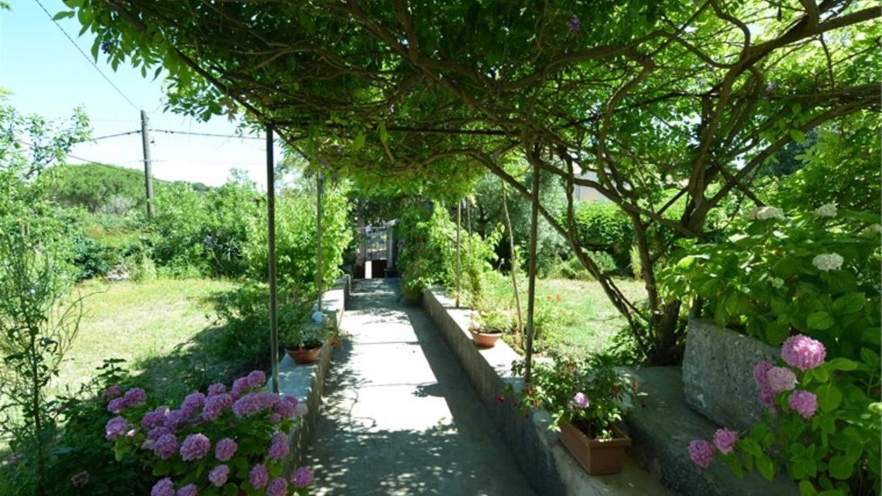 Photo of Outdoor in Veli Losinj
