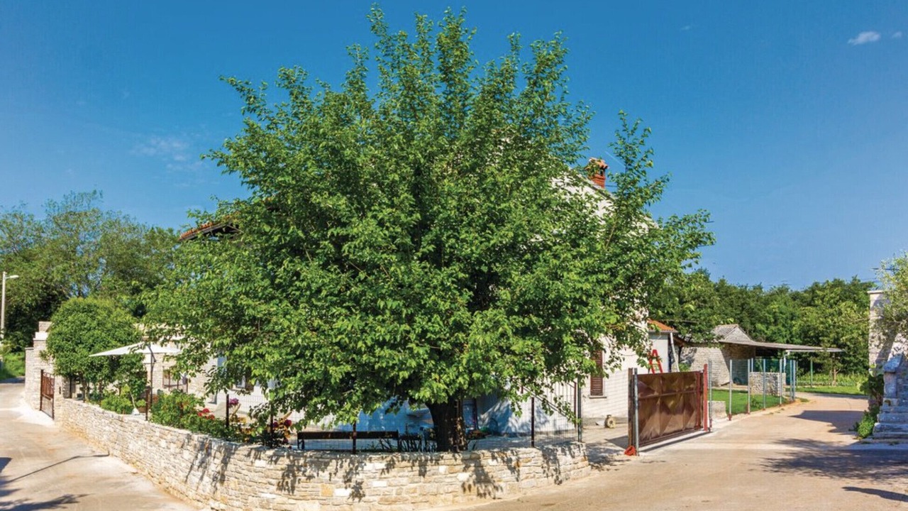 Photo of Outdoor in Rojnici