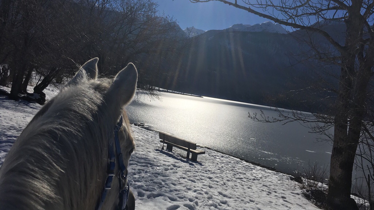 Photo of Others in Bohinjska Cesnjica