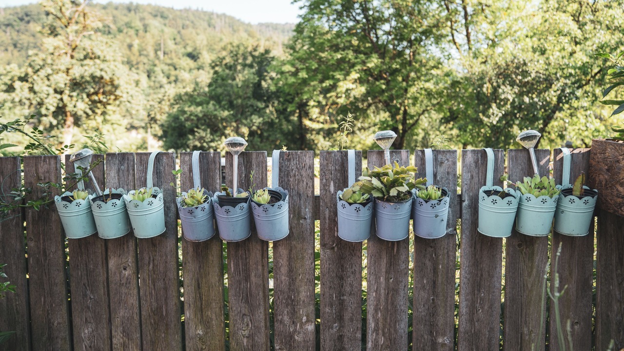 Photo of Outdoor in Bohinjska Cesnjica