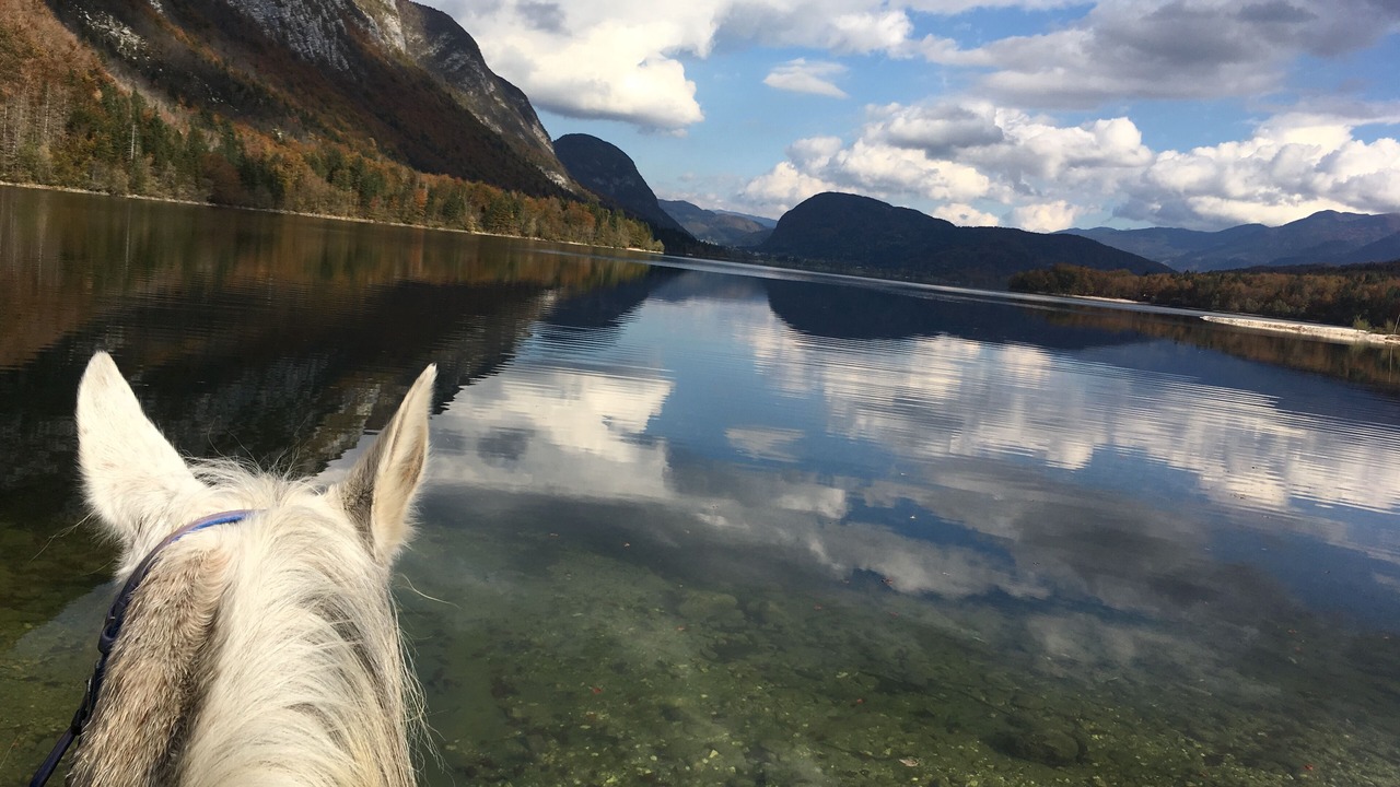 Photo of Others in Bohinjska Cesnjica