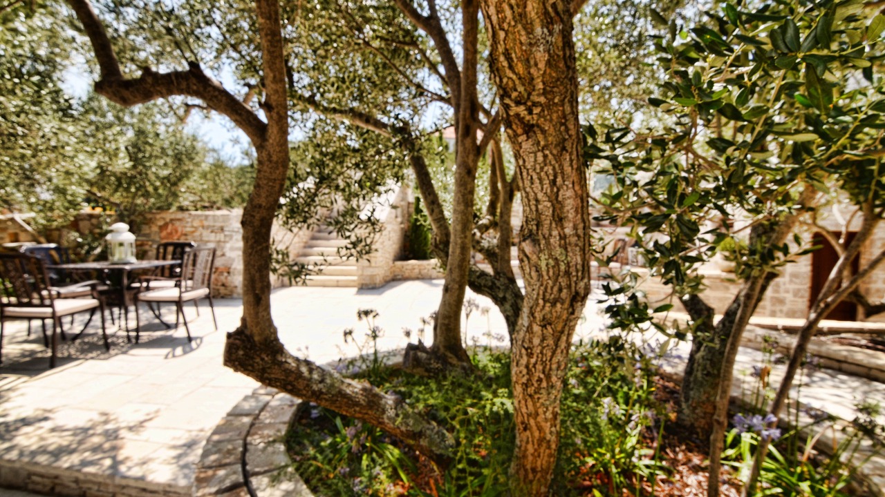 Photo of Outdoor in Susica