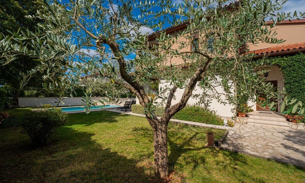 Photo of Outdoor in Pinezici