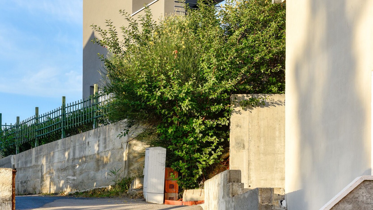 Photo of Outdoor in Ljubac