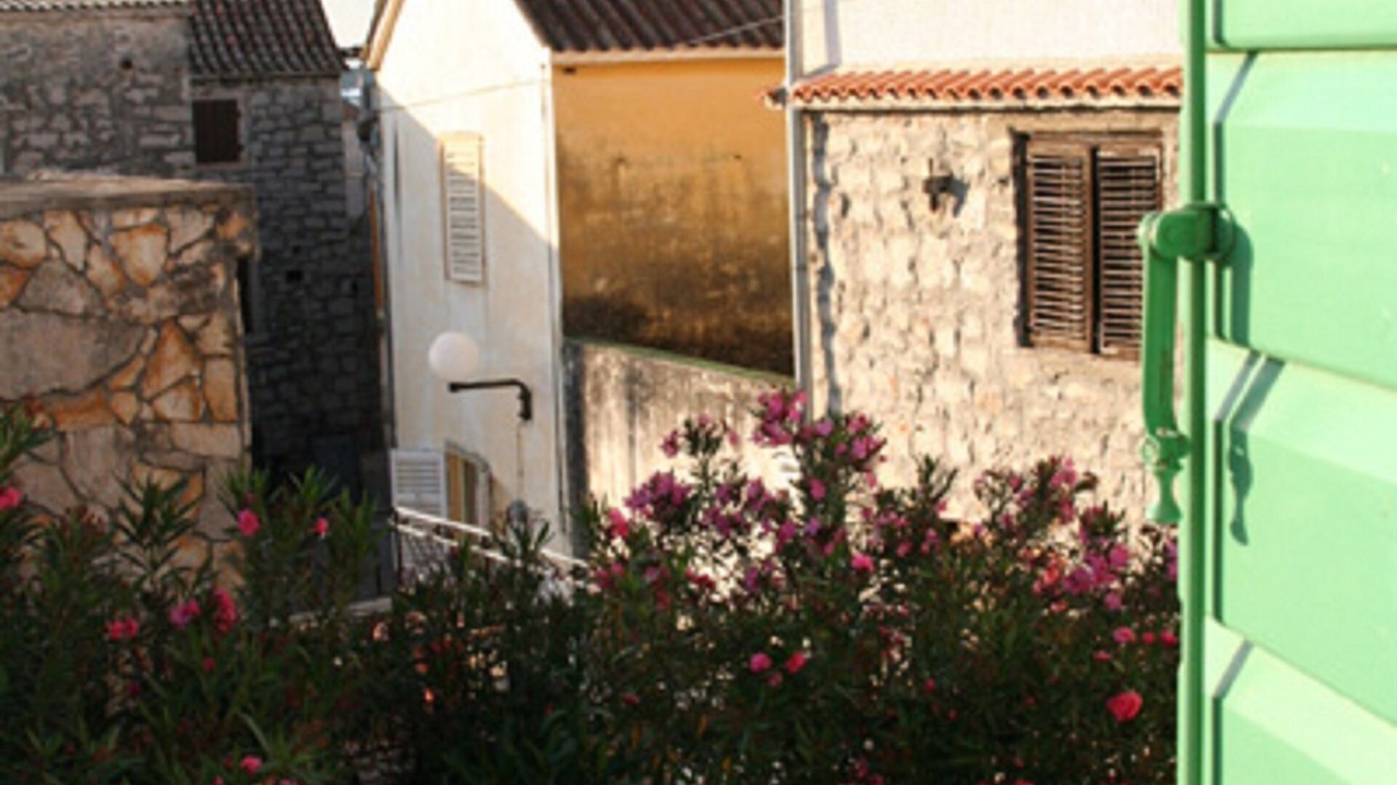 Photo of Outdoor in Betina