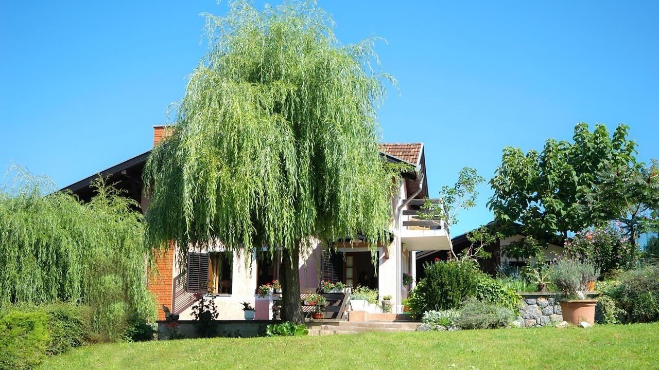 Photo of Outdoor in Daruvar