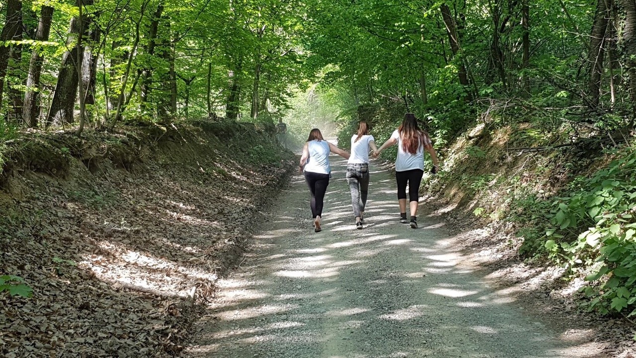 Photo of Outdoor in Novi Marof