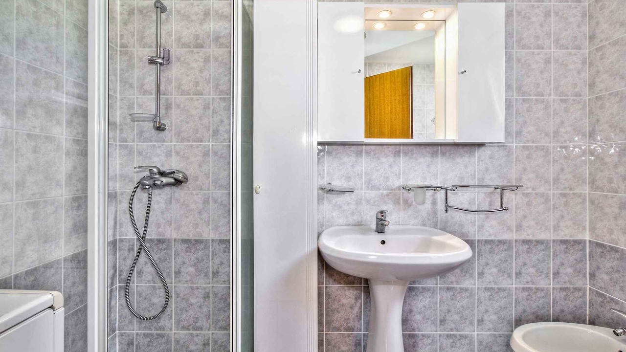 Photo of Bathroom in Petrovija