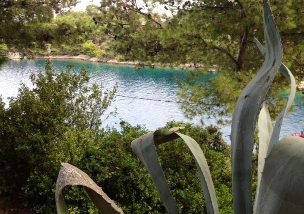 Photo of Others in Island Dugi Otok