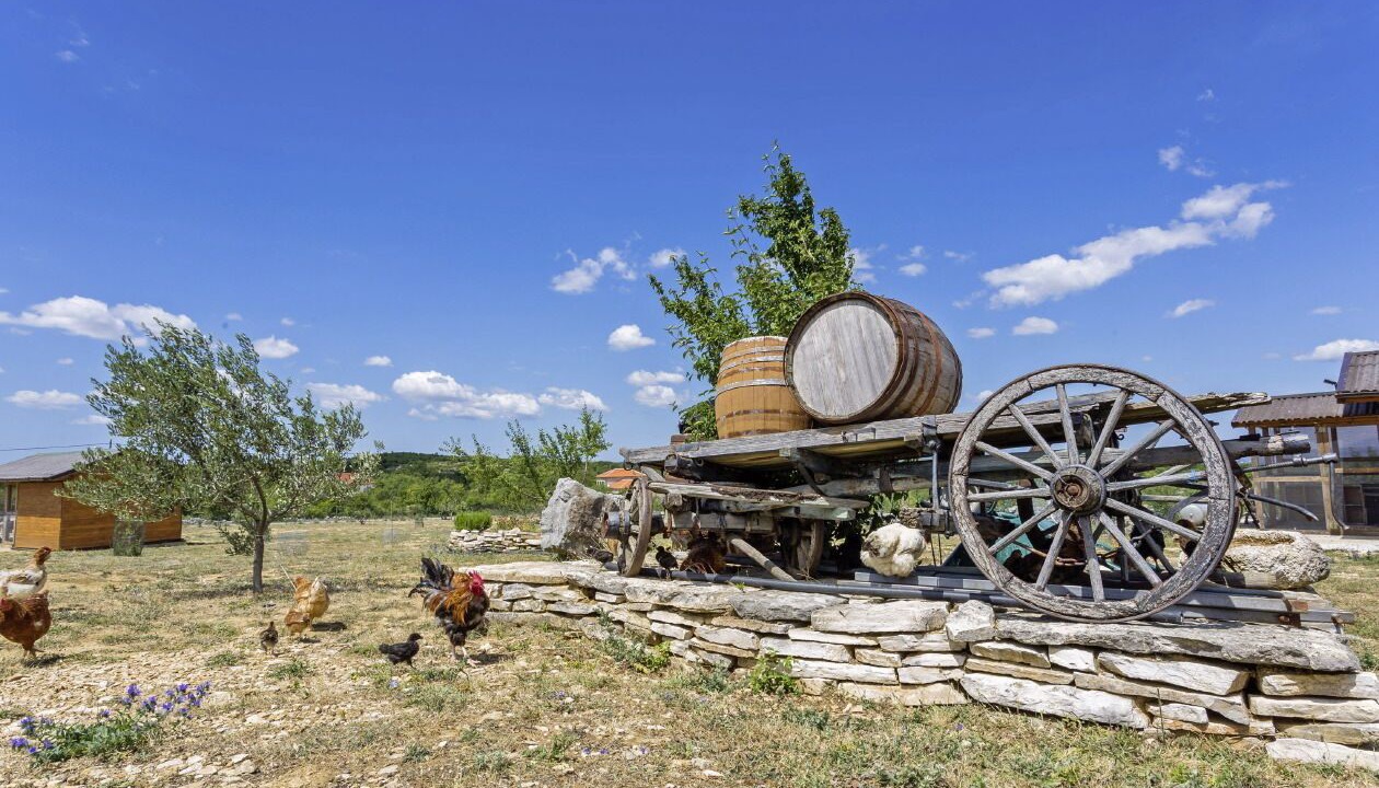 Photo of Outdoor in Benkovac