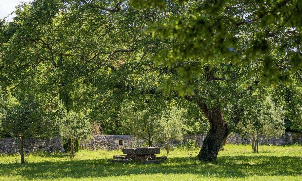 Photo of Outdoor in Salambati