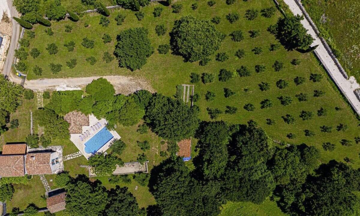 Photo of Outdoor in Salambati