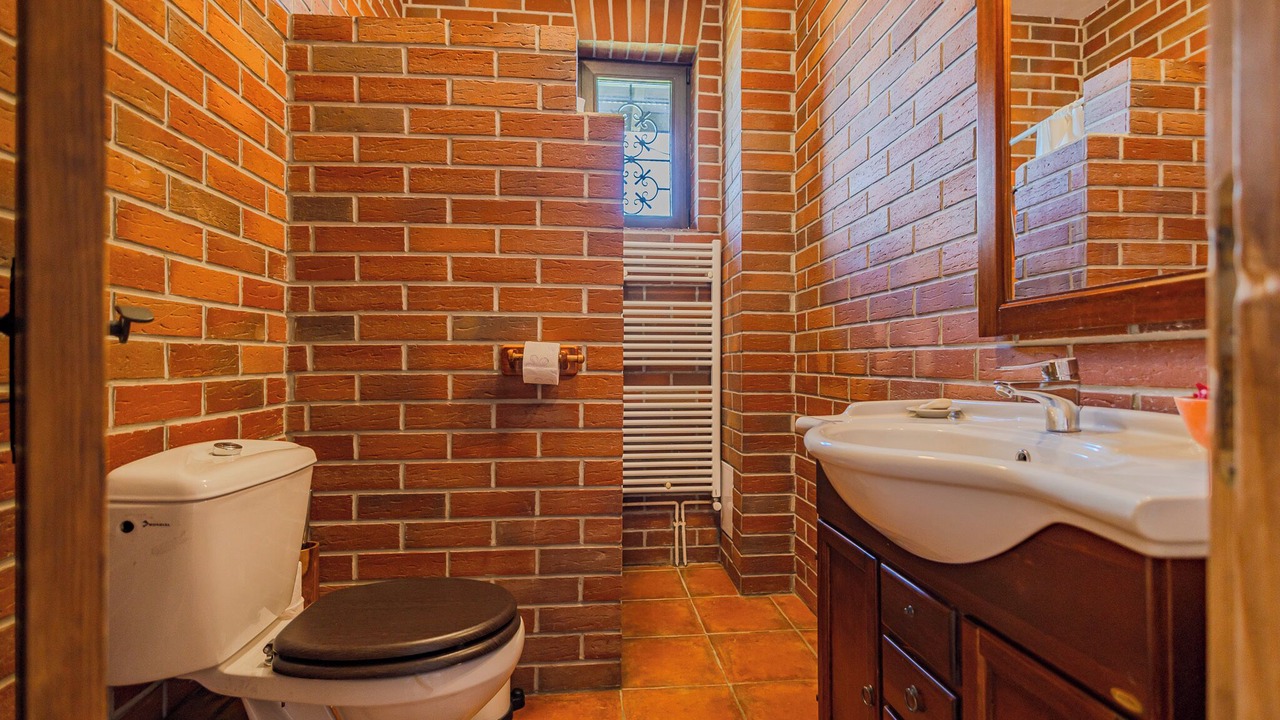 Photo of Bathroom in Moieciu