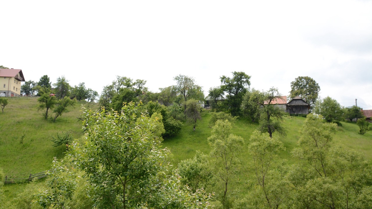 Photo of Outdoor in Bran