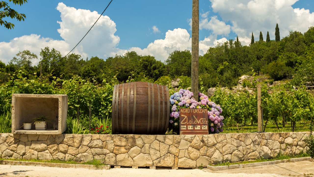 Photo of Outdoor in Popovici