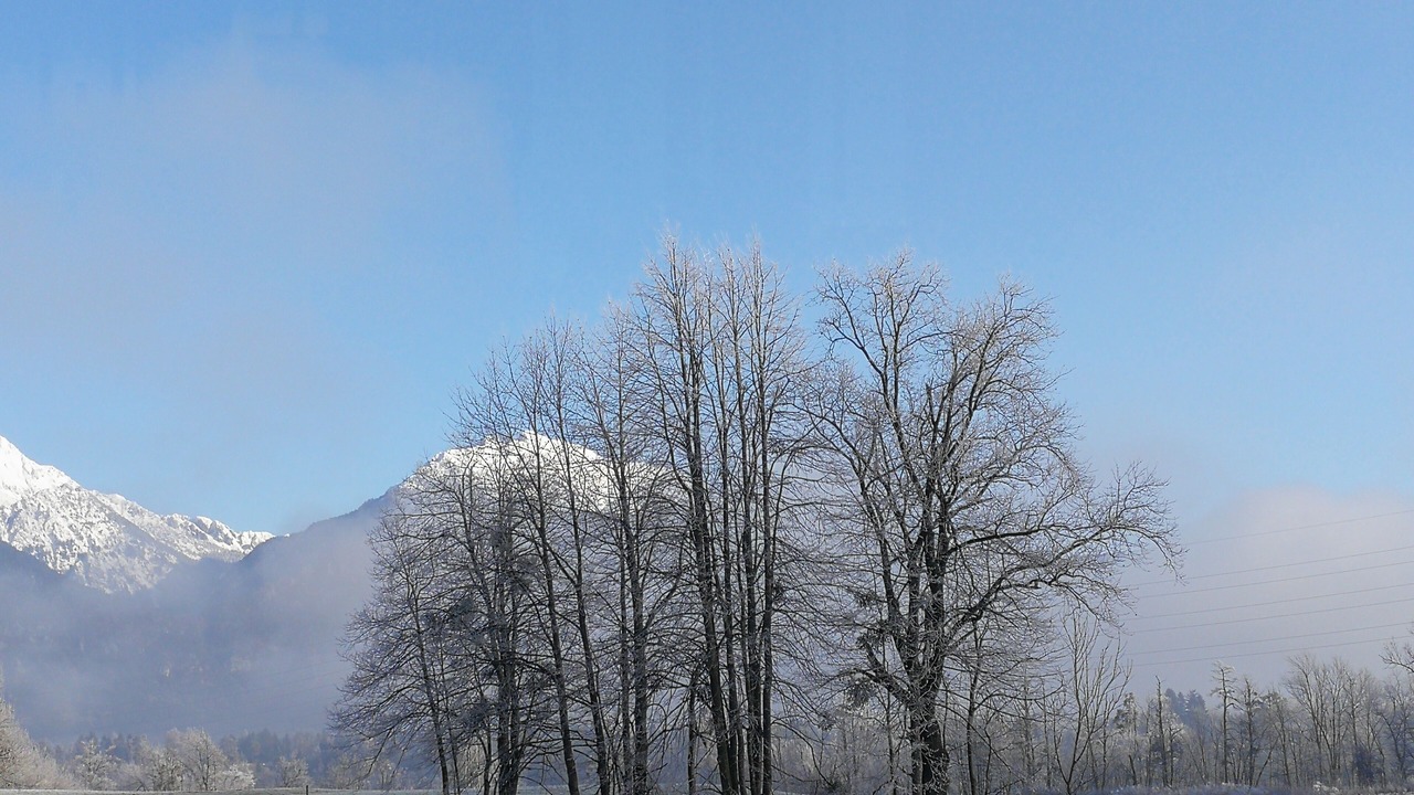 Photo of Outdoor in Bled