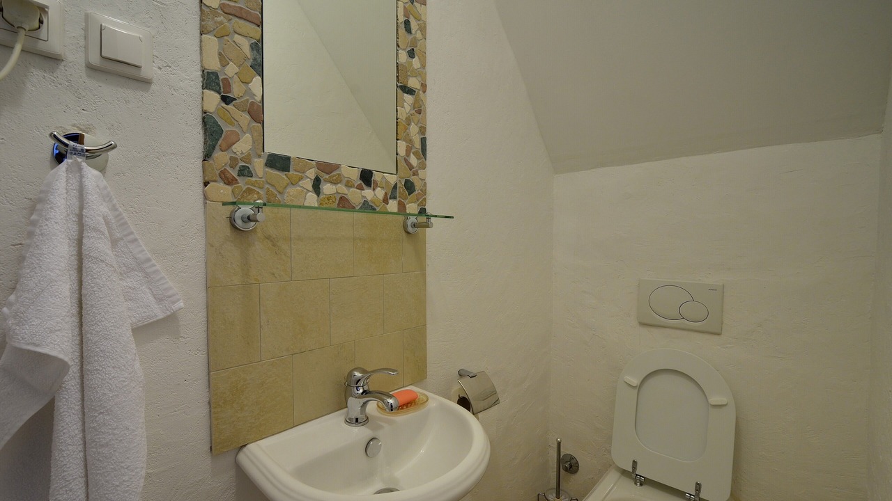 Photo of Bathroom in Sveti Martin
