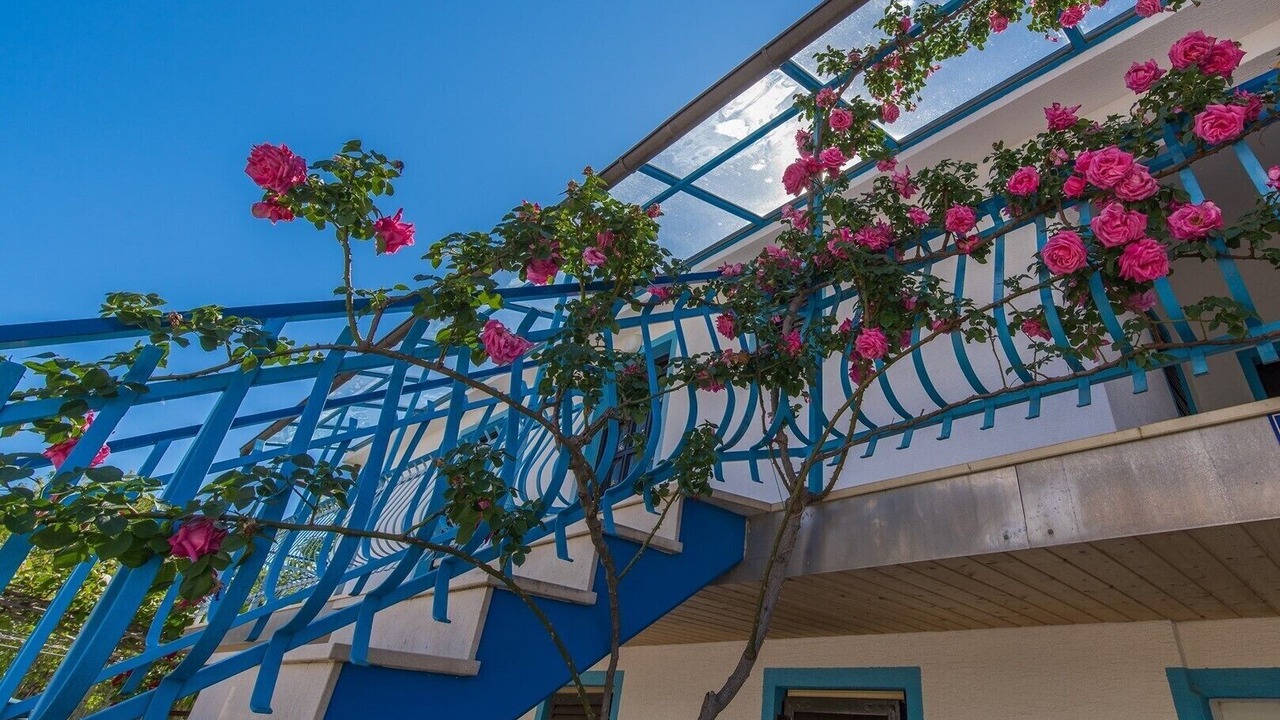 Photo of Outdoor in Spadici