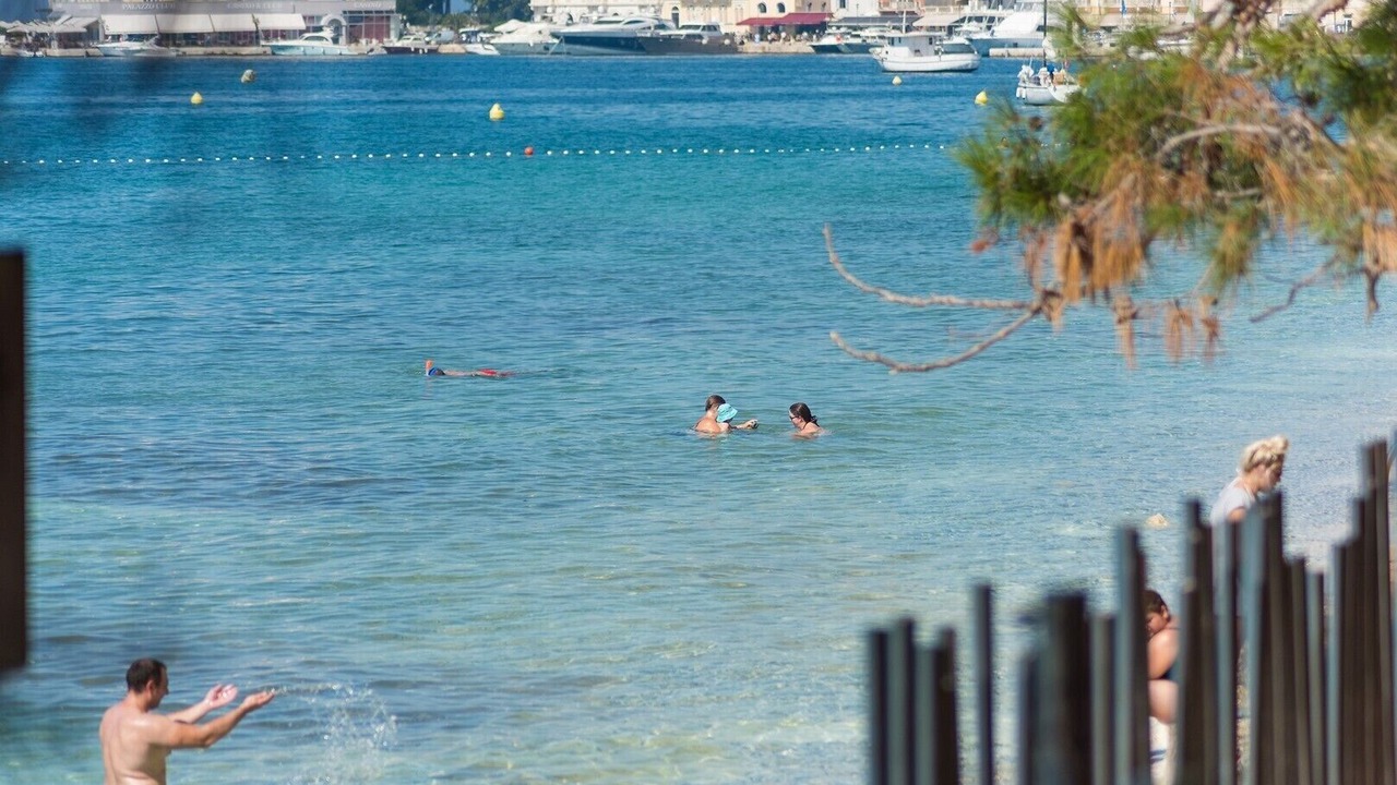 Photo of Others in Spadici
