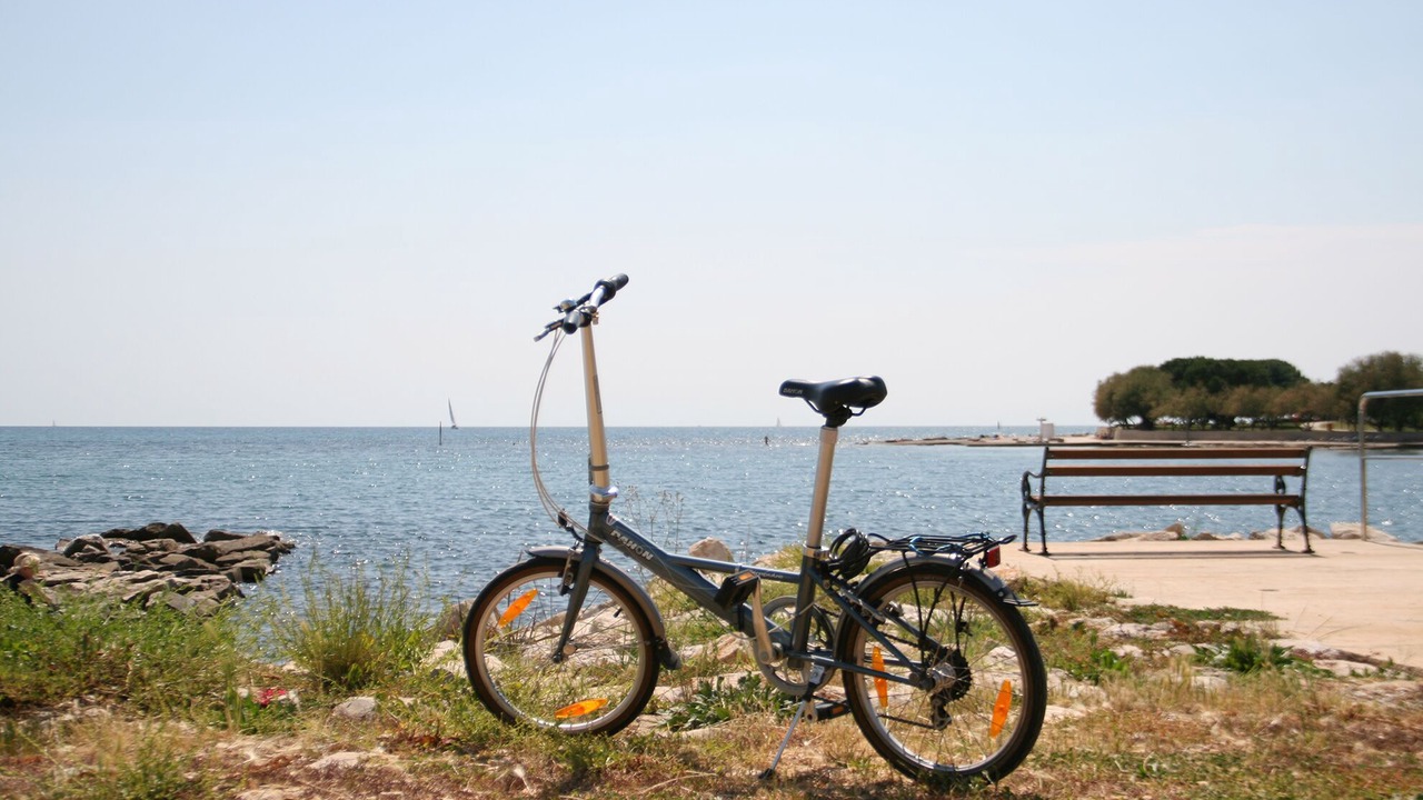 Photo of Others in Novigrad