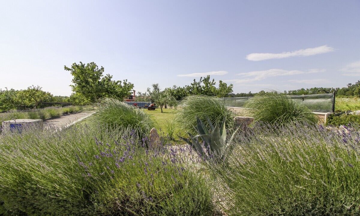 Photo of Outdoor in Bazgalji