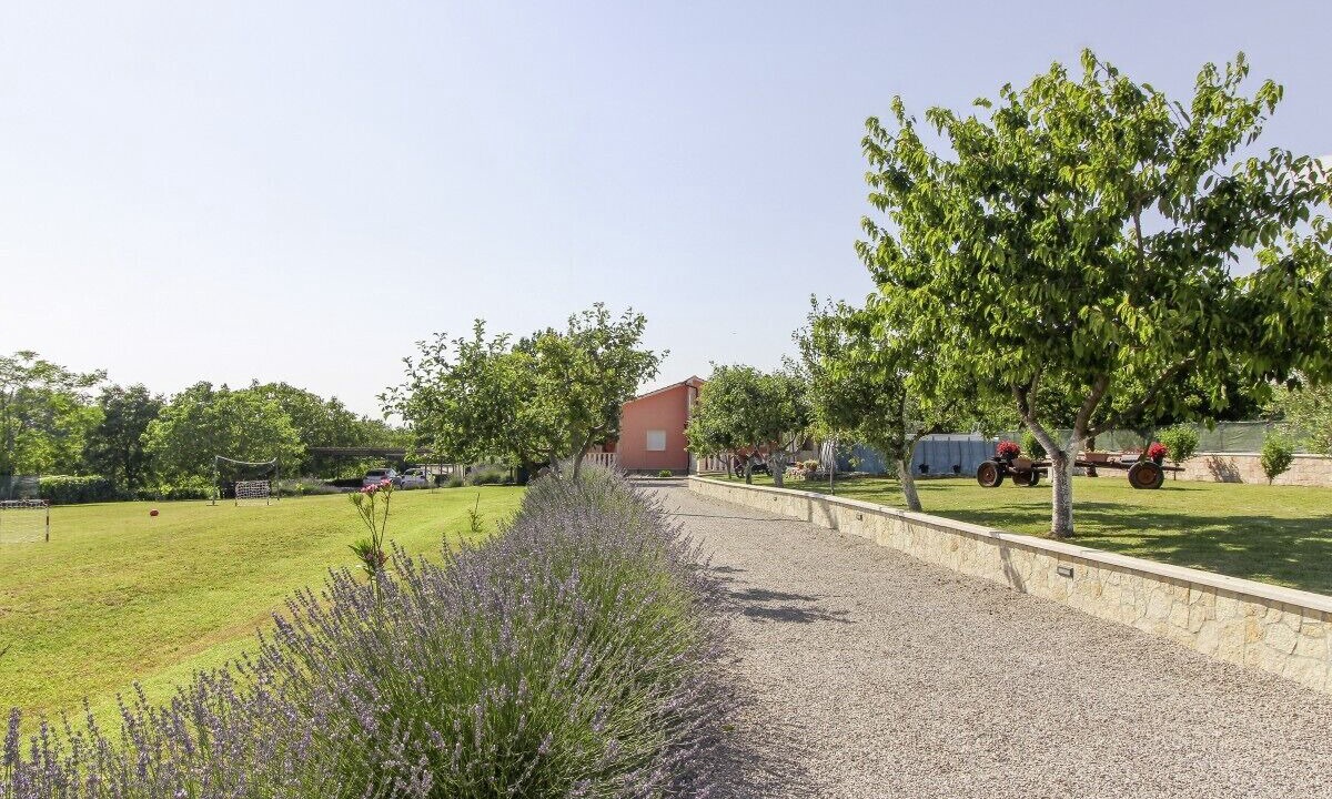 Photo of Outdoor in Bazgalji