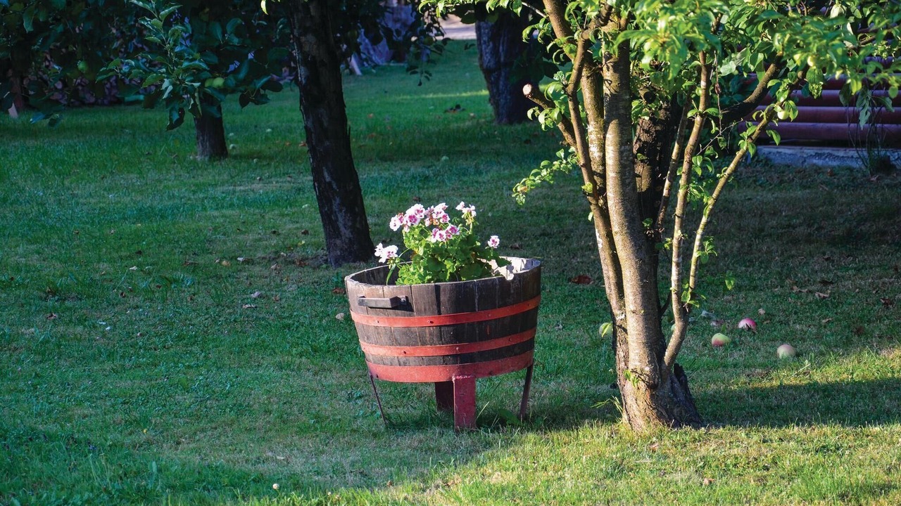 Photo of Others in Crnomelj