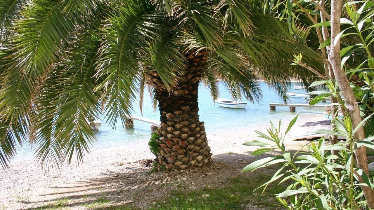 Photo of Others in Stanici