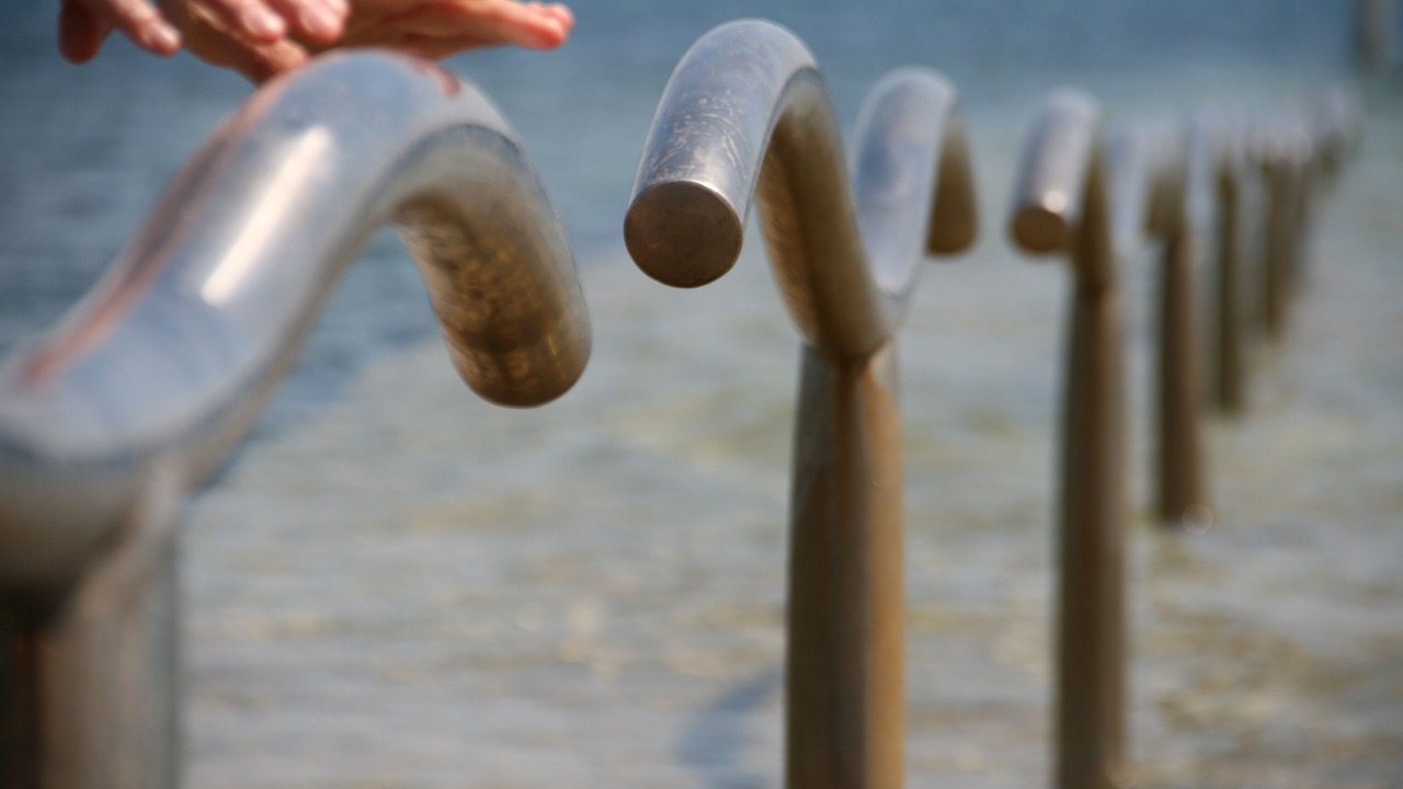 Photo of Others in Novigrad