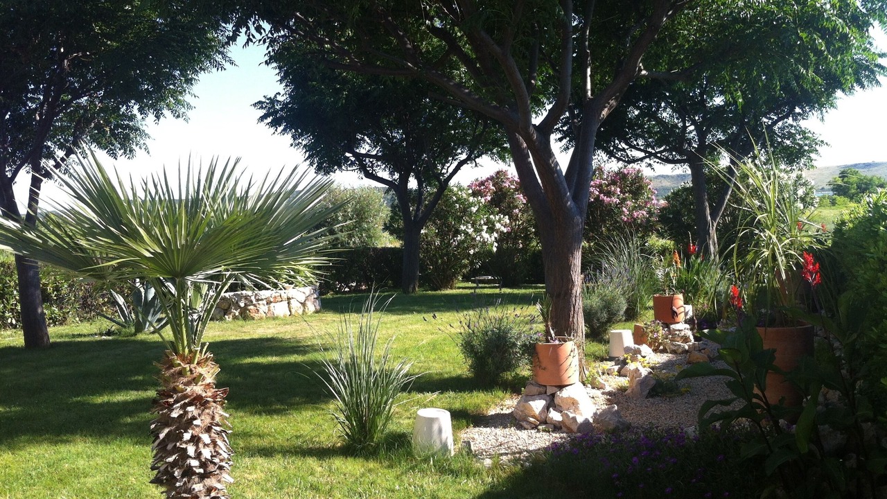 Photo of Outdoor in Ljubac