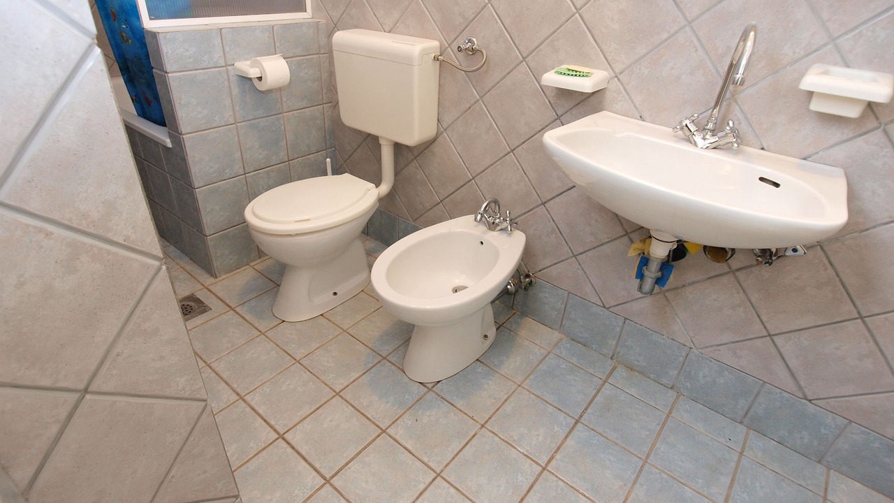 Photo of Bathroom in Medulin