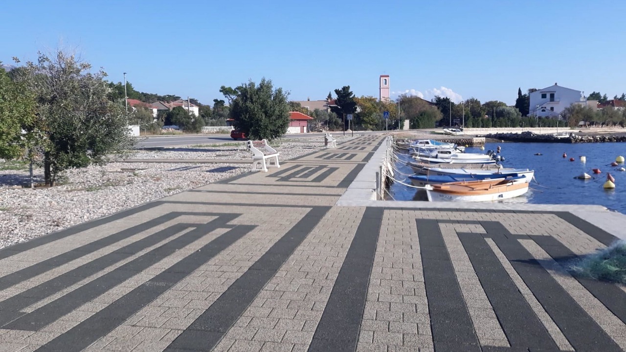 Photo of Others in Seline