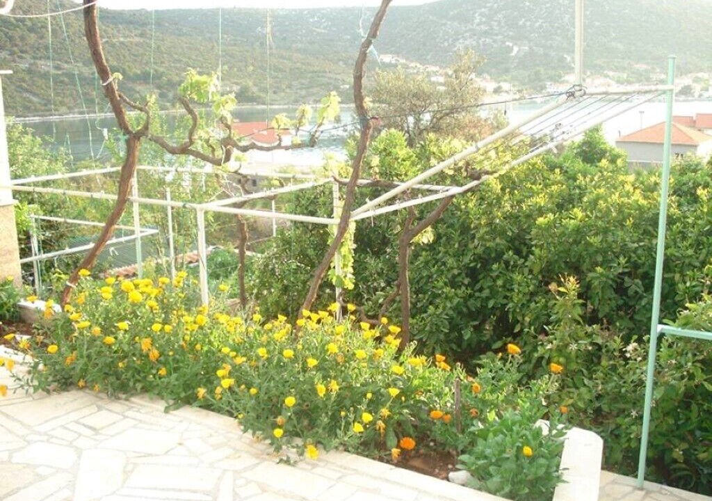 Photo of Outdoor in Vinisce