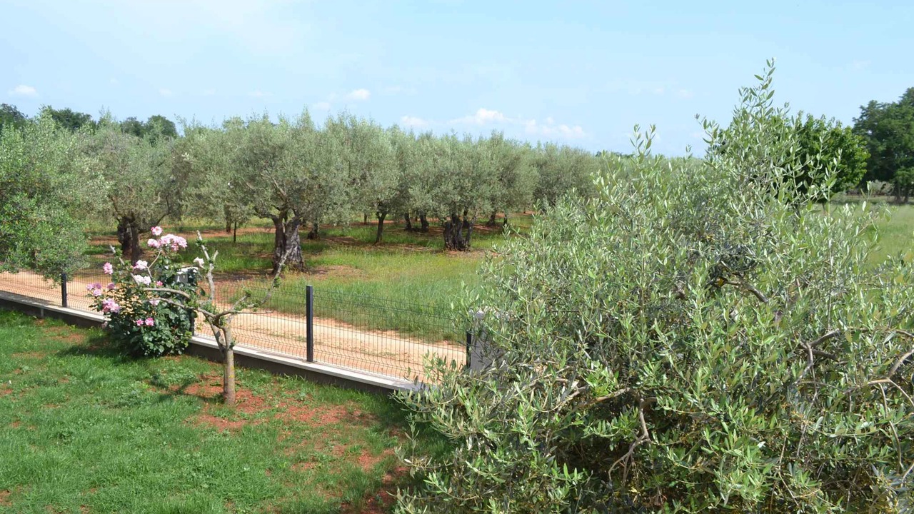 Photo of Outdoor in Finida