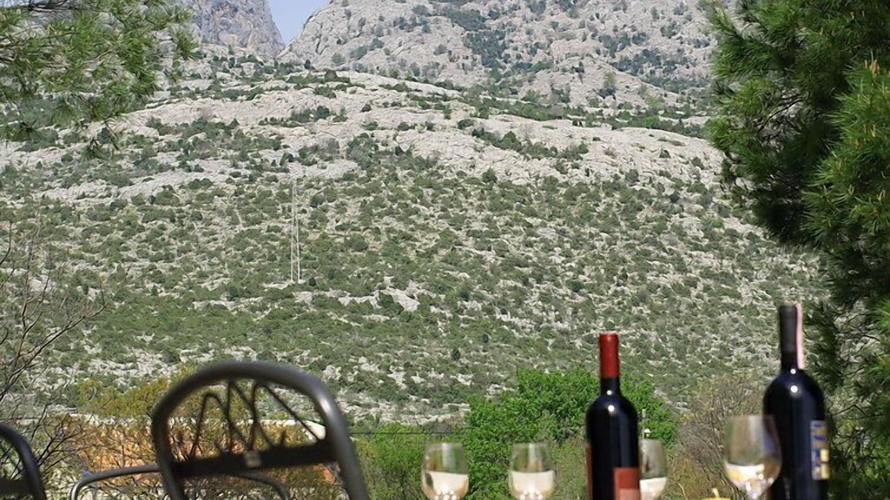 Photo of Outdoor in Seline