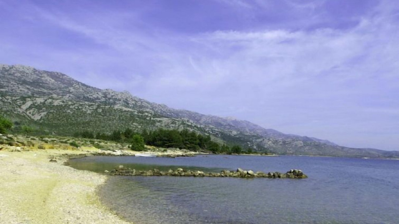 Photo of Others in Seline