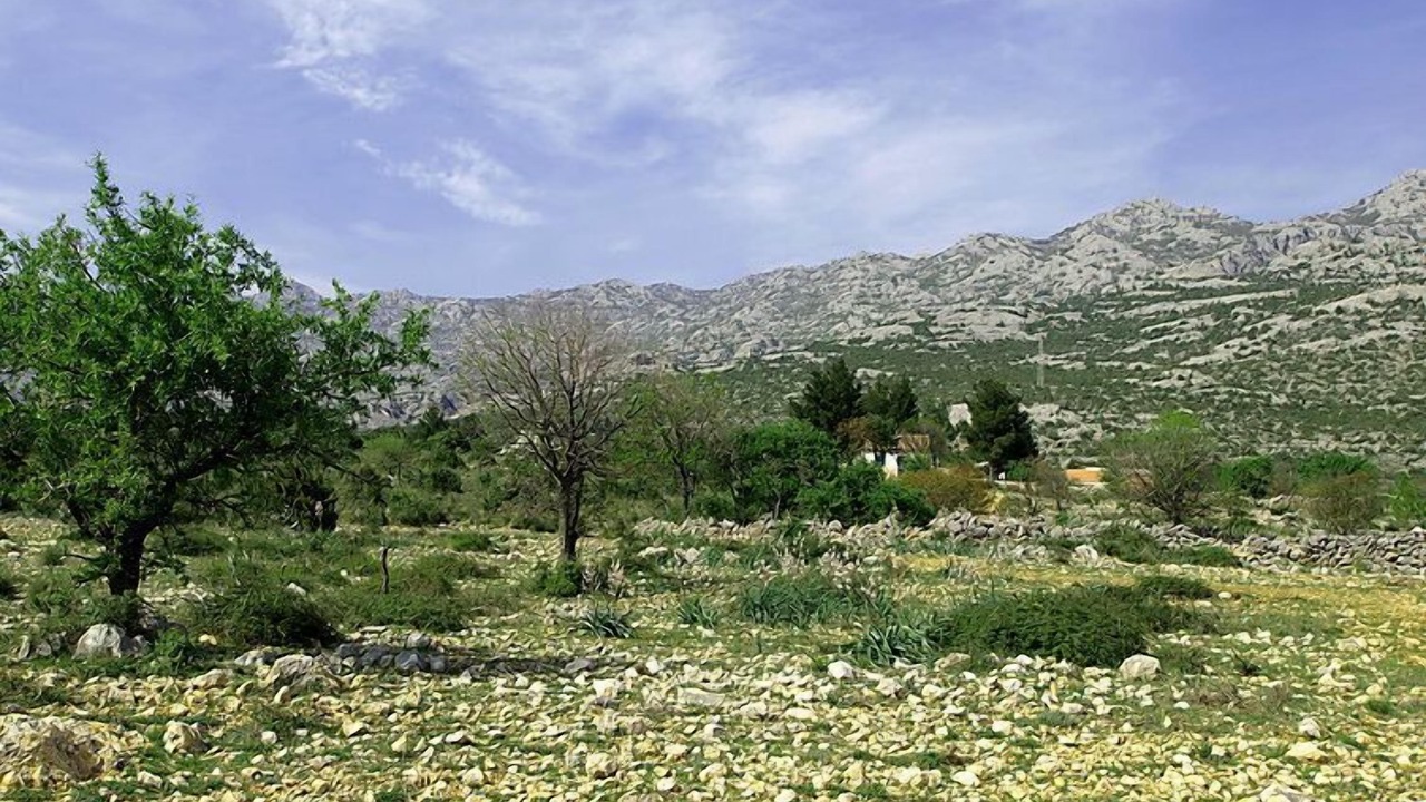 Photo of Outdoor in Seline