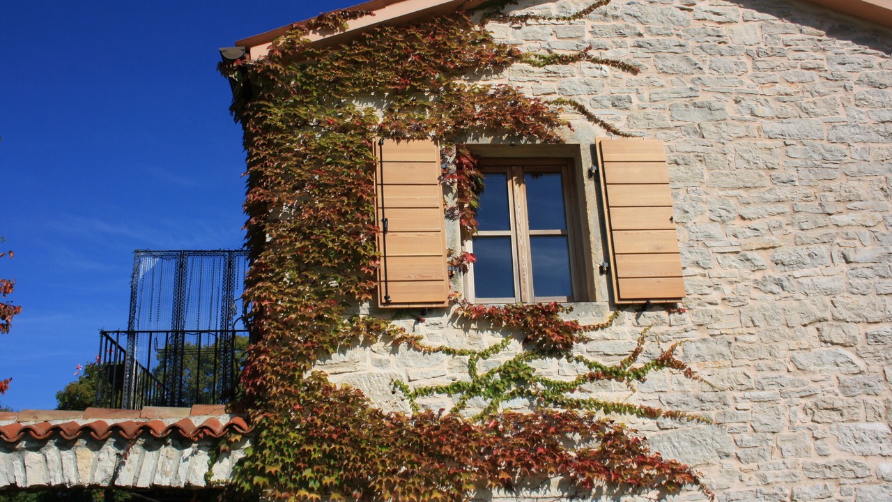 Photo of Outdoor in Bale