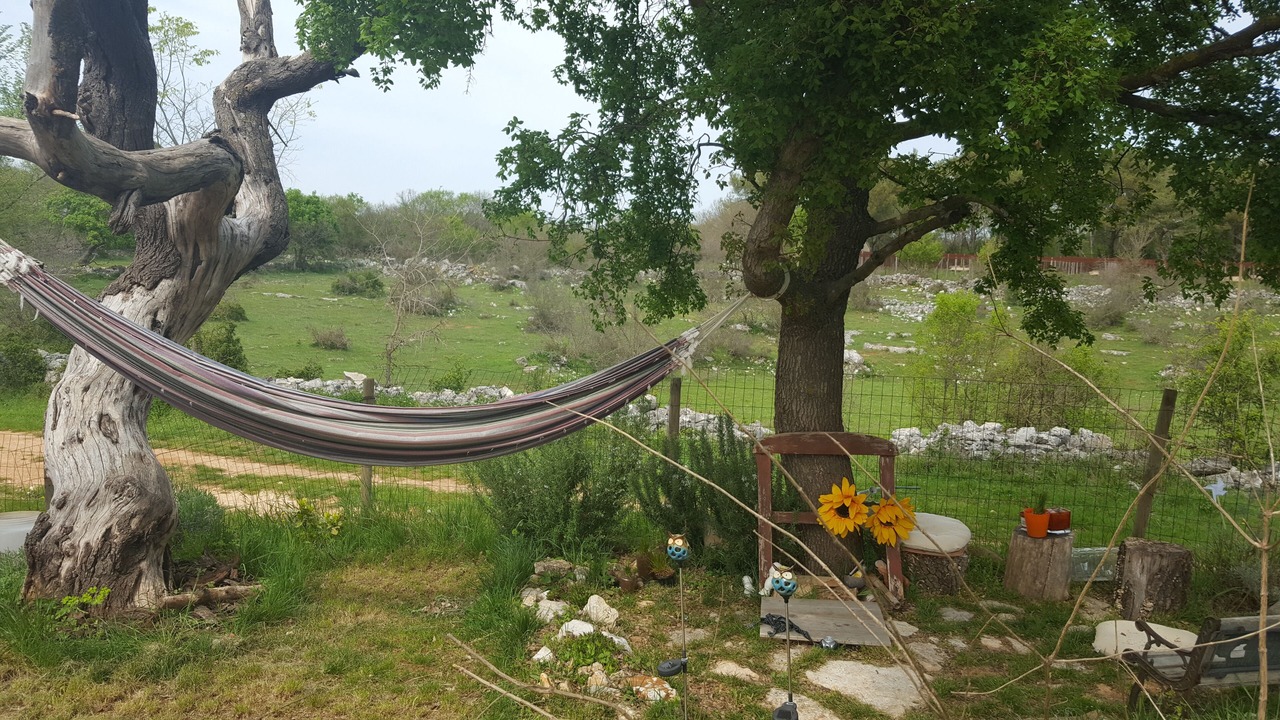 Photo of Outdoor in Bale
