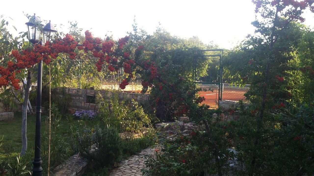 Photo of Outdoor in Funtana