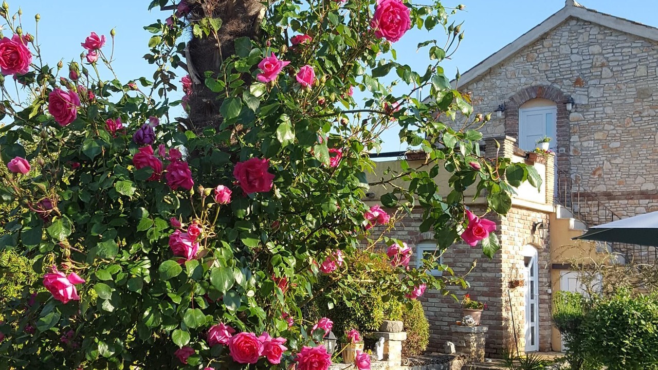 Photo of Outdoor in Funtana