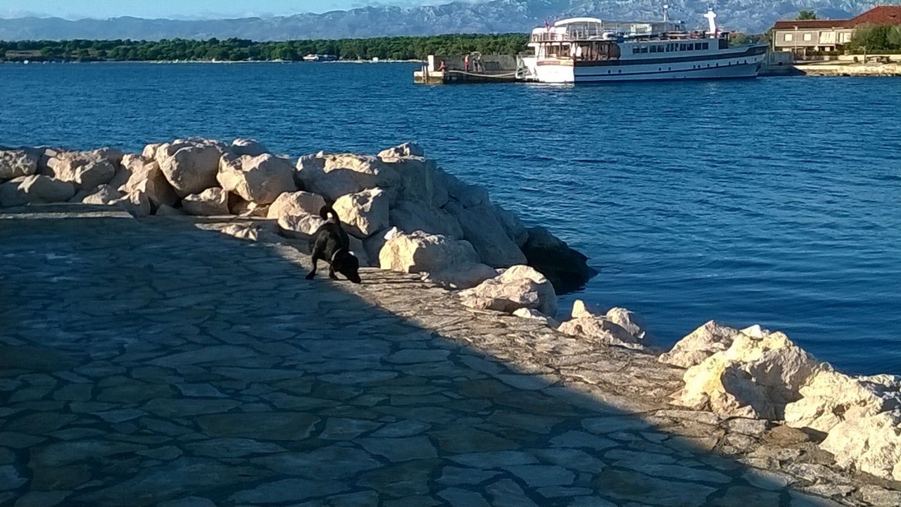 Photo of Others in Zaton