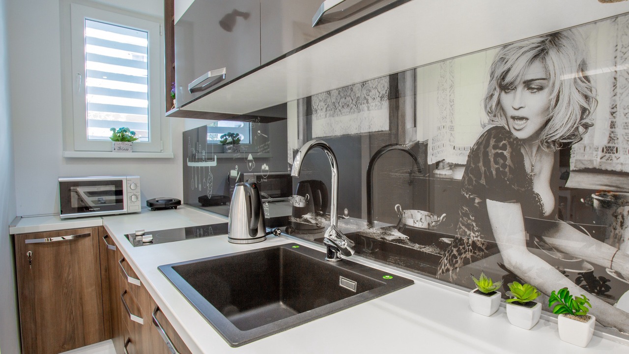 Photo of Kitchen in Zemun