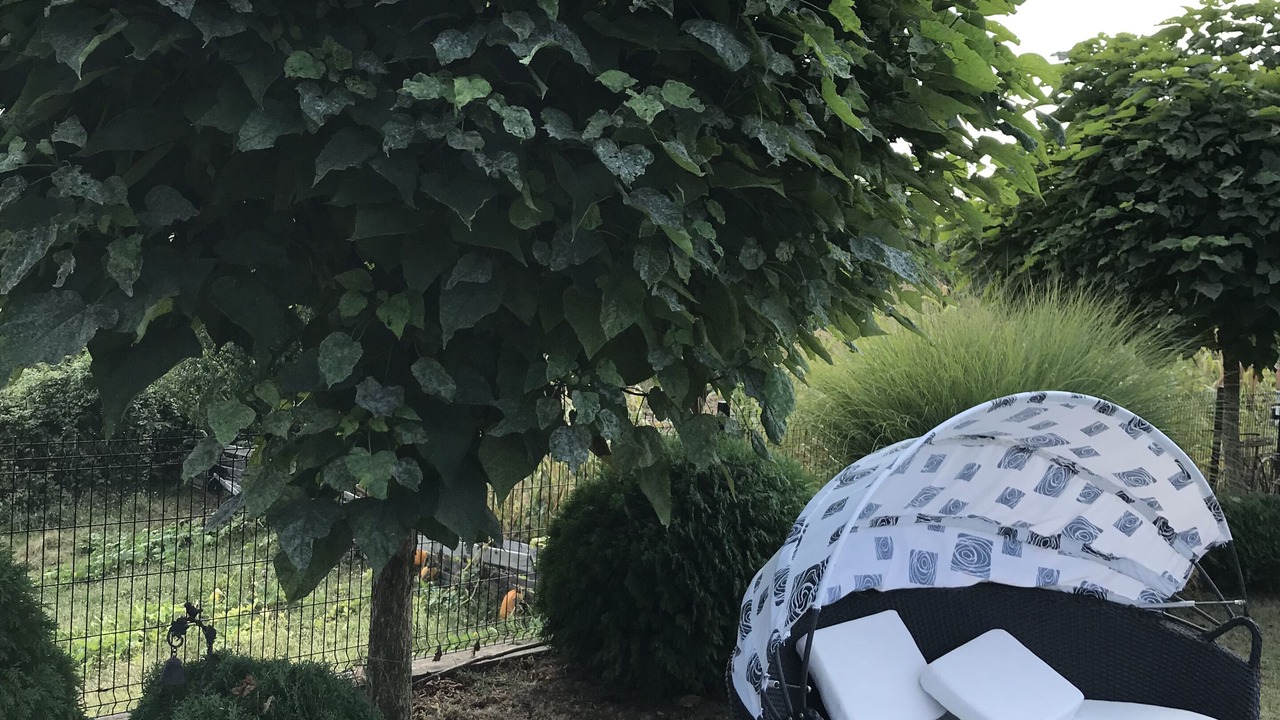 Photo of Outdoor in Srebrenik